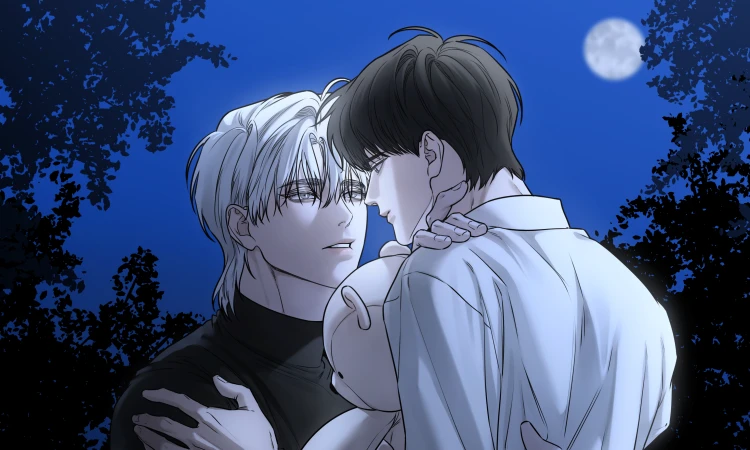 Querido osito de peluche Manhwa