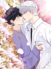 Flores de cerezo tras el invierno manhwa bl