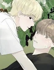 Verano en tu corazón manhwa bl