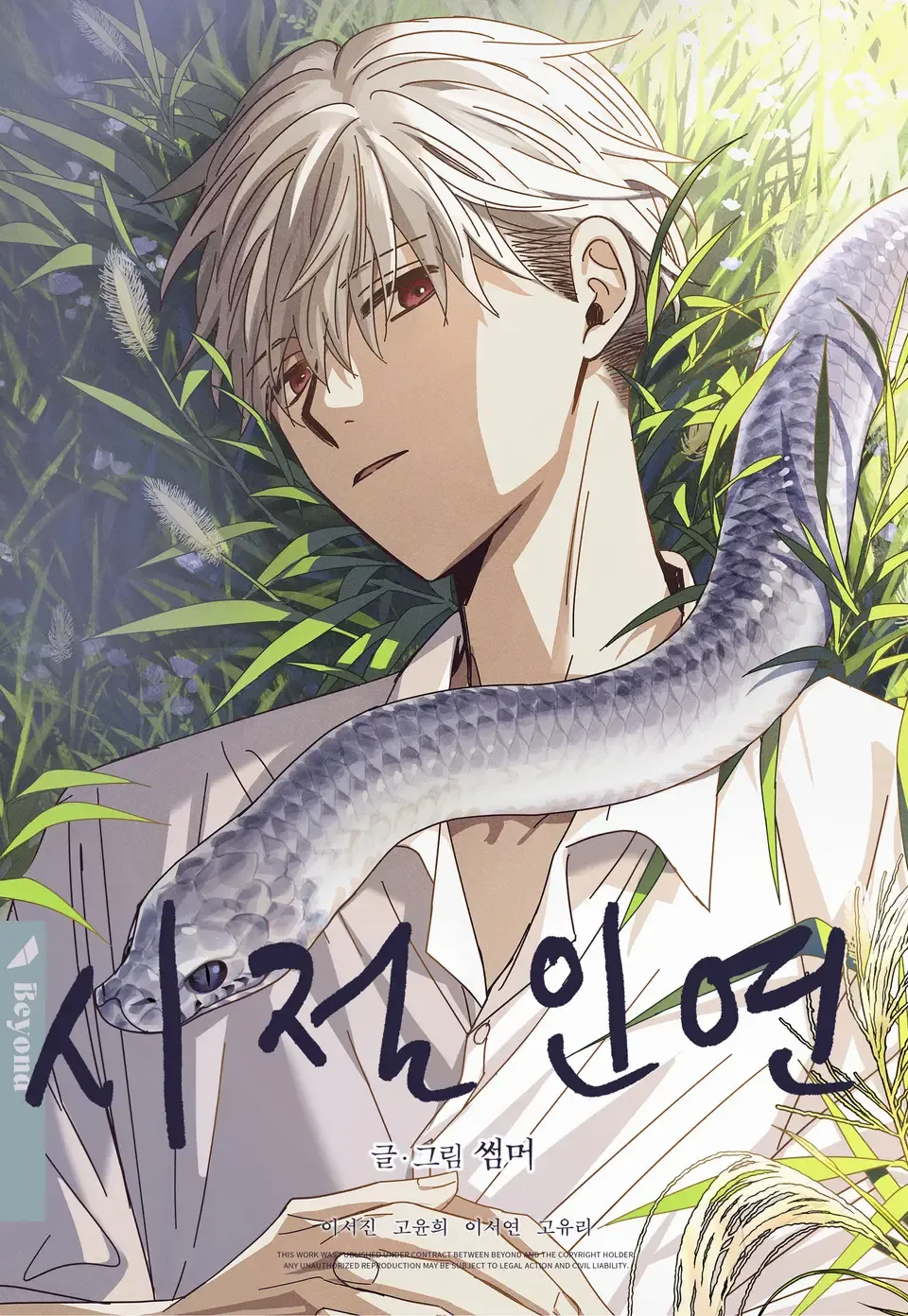 Destinados Manhwa BL