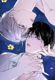 Miradas desenfocadas yaoi manhwa