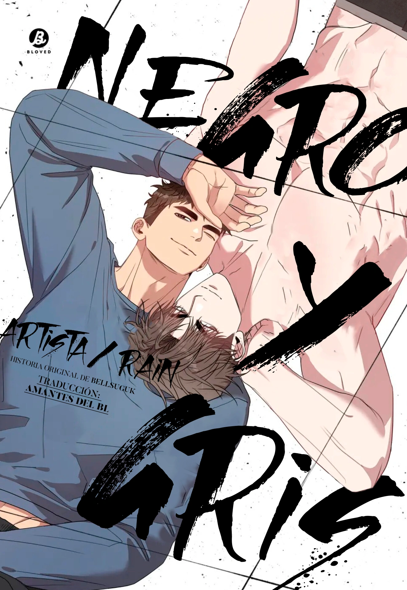 Negro y Gris boys love manhwa