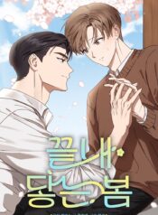 Por fin llega la primavera bl manhwa