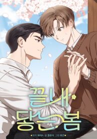 Por fin llega la primavera bl manhwa