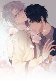 Feromona Extra Concentrada manhua bl