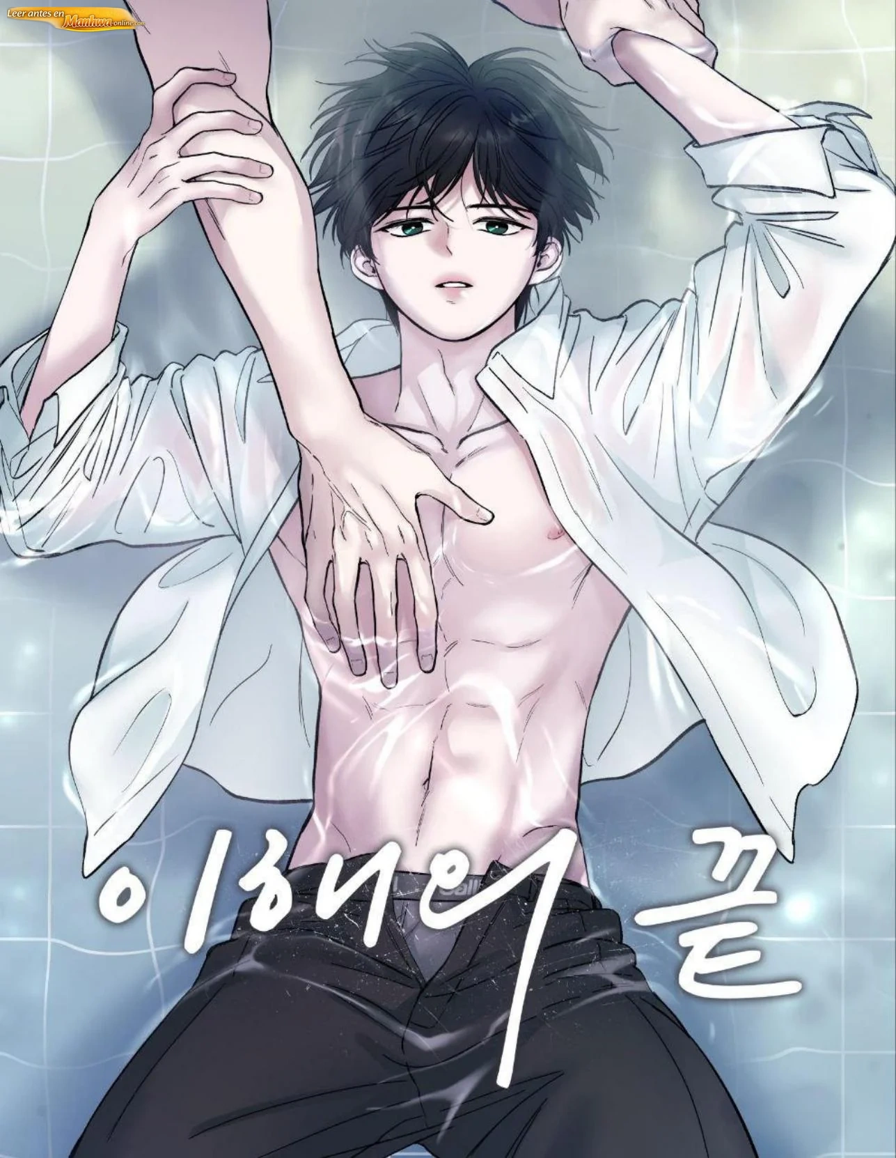 El Fin De La Comprensión manhwa bl